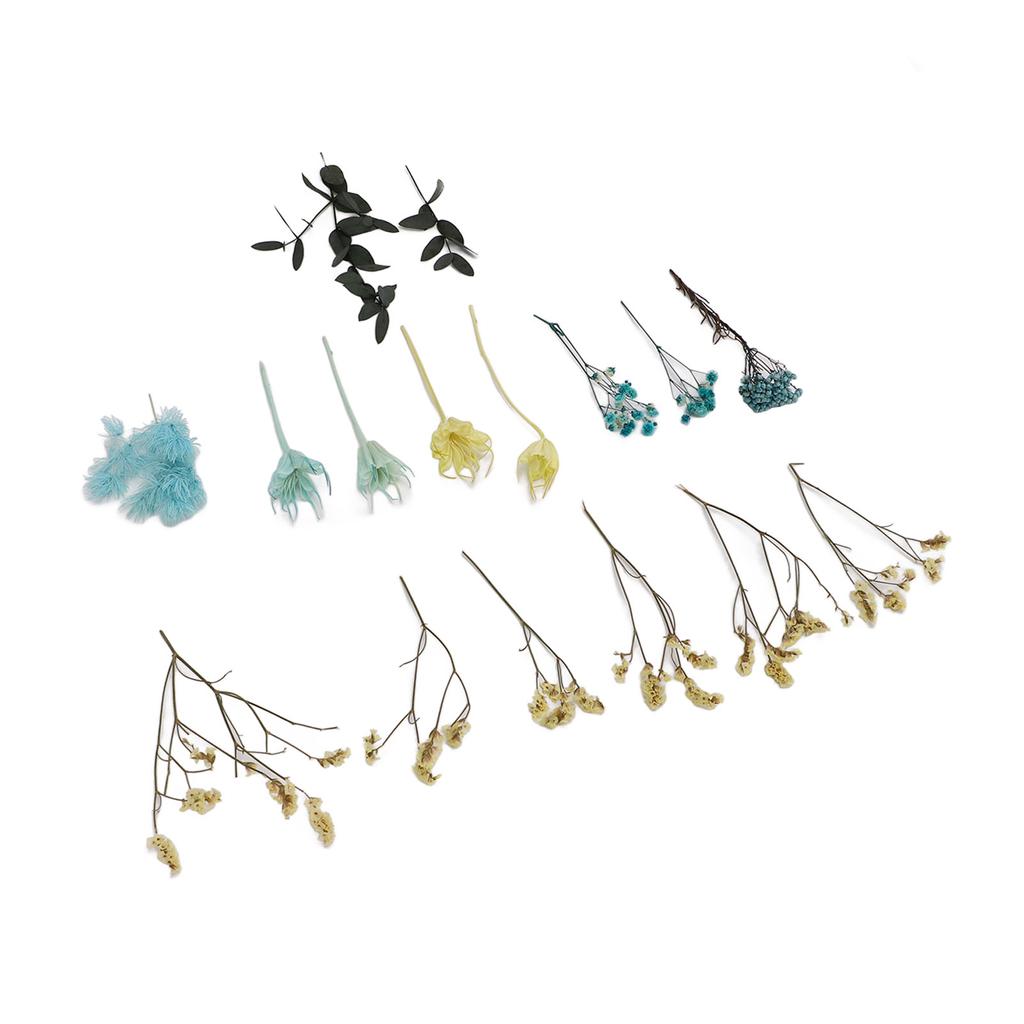 Dried Flowers Natural Odorless Exquisite Bouquet Making Materials DIY Dried Flowers for Tabletop Party Decoration