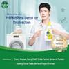Dettol Multi-Action Laundry Sanitizer