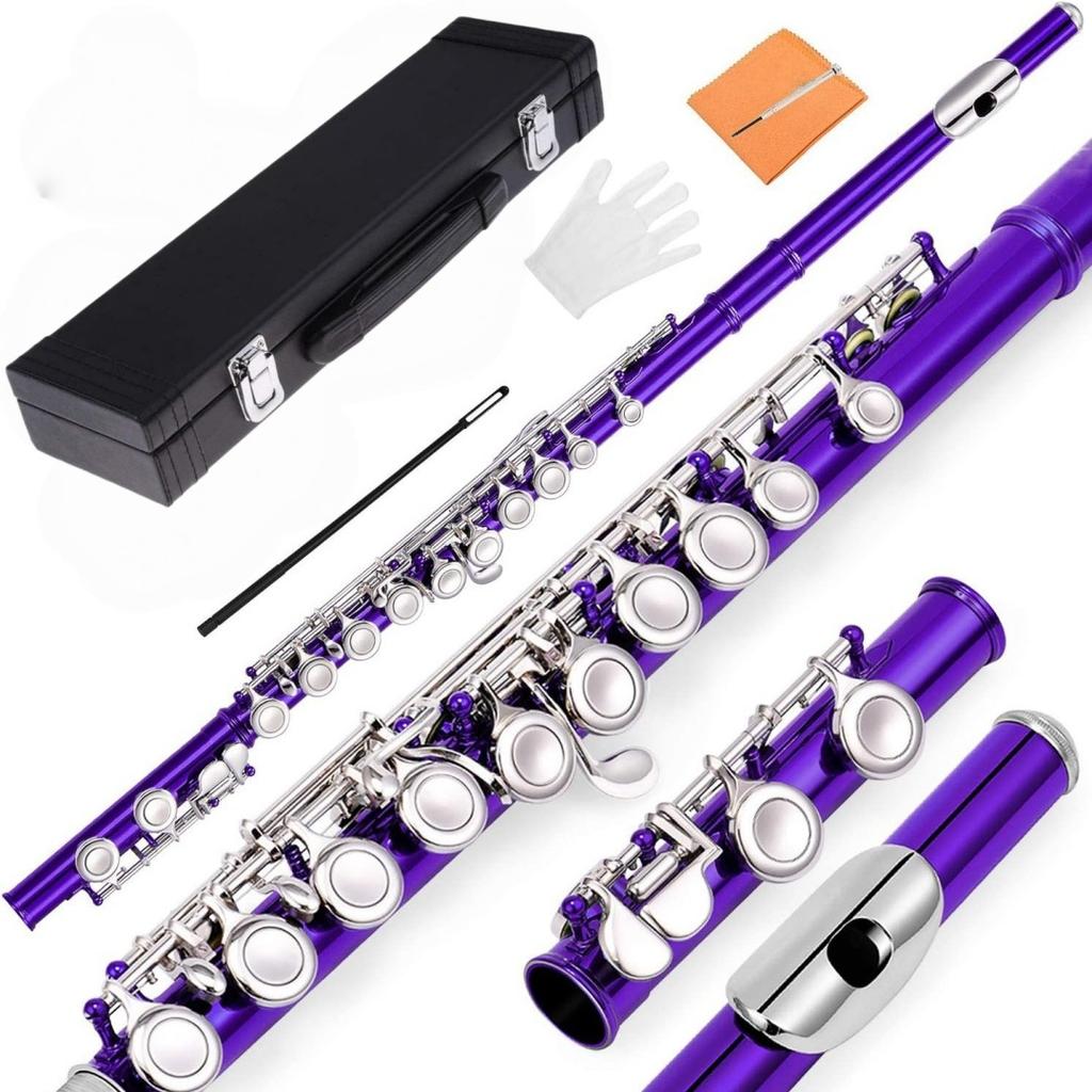 Factory Direct: Multi-color 16-hole/key C-tuned nickel-plated flute with silver-plated E key, wooden case