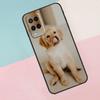 Golden Retriever Dog For Oppo A74 A94 A54 A80 A78 A98 A40 A60 A18 A38 A58 A15 A17 A77 A57S A16 A76 A96 Phone Case
