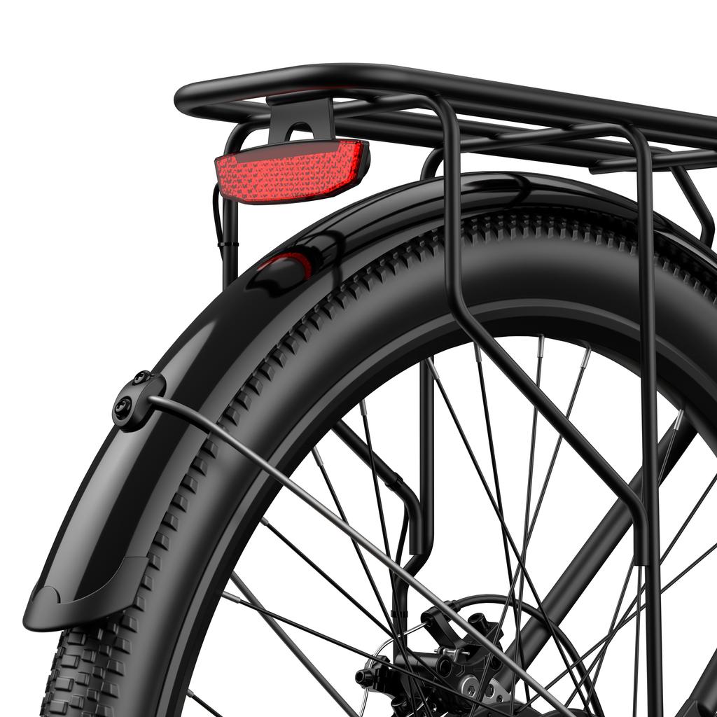 FAFREES F26 Lasting Electric Bike 36V 20.3Ah Battery, 250W Motor, 80-100KM Range, 26*1.95 Inch Tires E-Bike