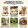 Automatic Timing Pet Red Light Recovery Device LED Light Source Promote Circulation Dog Infrared Light Knee Brace Comfortable