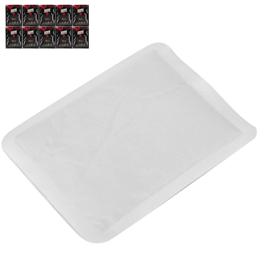 10Pcs Reptile Heating Warmer Heat Transport Warm Paste for Tortoise Spider Scorpion 40h