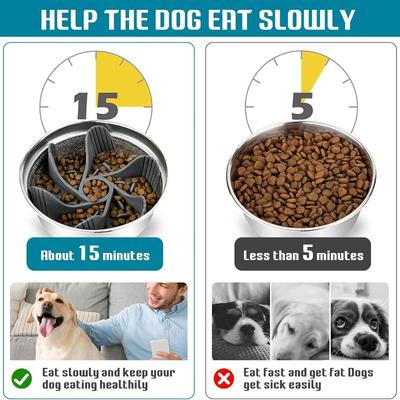 Köpek – Köpek Besleme ve Sulama Malzemeleri