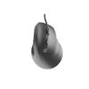 Souris optique - Natec - 12800 dpi - Universelle - Noire