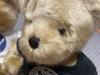 [USED] US ARMY AIR FORCE Teddy Bear Plush Souvenir