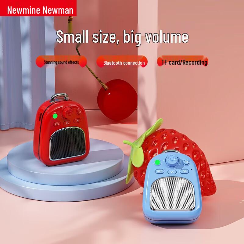 Newsmy DP06 Retro Portable Bluetooth Speaker CN plug (adapter included)