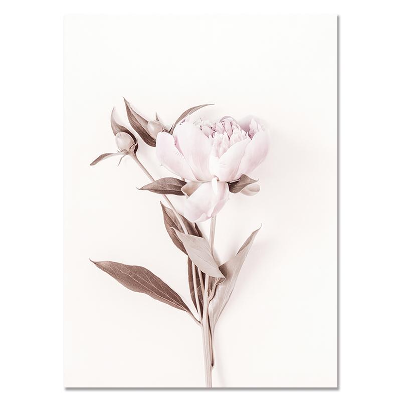 

Розовый цветок розы постер в скандинавском стиле с цветочным ботаническим принтом, холст, картина, простота, настенная живопись, скандинавский домашний декор 21x30cm No Frame