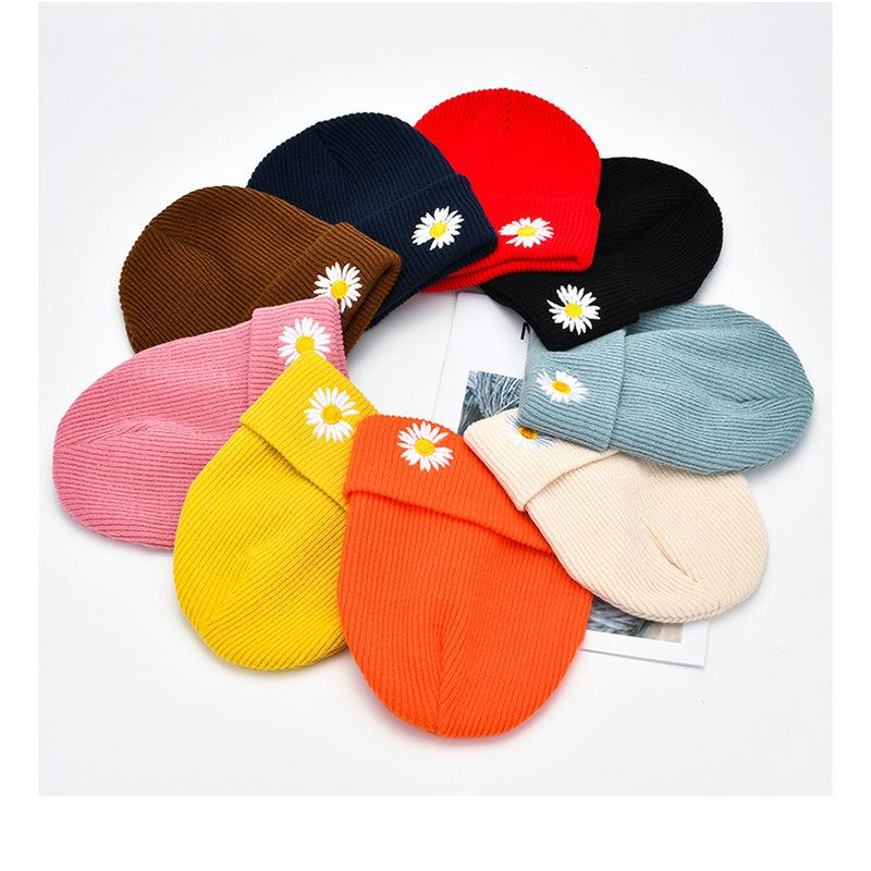 New Daisy Embroidery Beanie Autumn Winter Soft Warm Knitted Cap Men Women Unisex Cap Hats Ski Caps Beanies