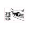 New Popular Halloween Mouth Bone Collarbone Tattoo Stickers, Lip Makeup Decoration, Horror Tattoo Stickers