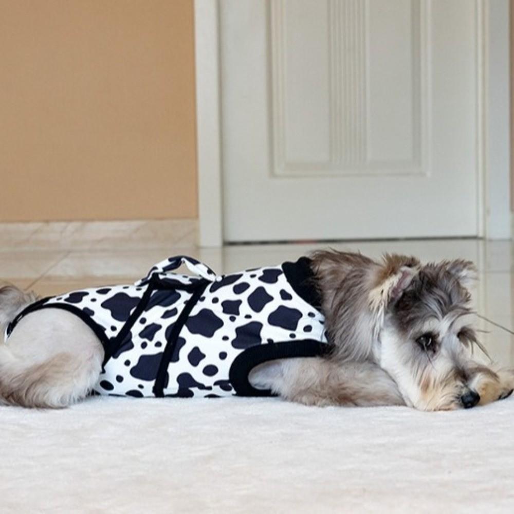 Warm Anti Licking Protective Clothing High Elasticity Dog Sterilization Suit  Daily Rehabilitation
