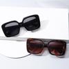 2024 Large Frame Outdoor Sunscreen Sunglasses - European & American Fashion T550