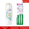 Toothbrush & Pantene Shampoo Bundle