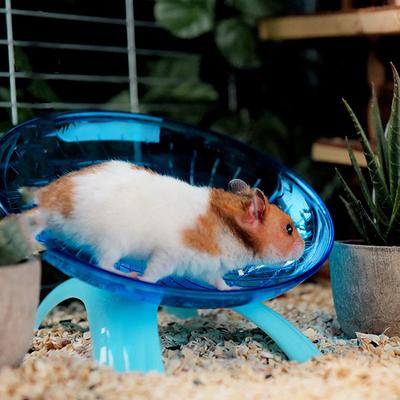 Huisdier Hamster Vliegende Schotel Oefening Eekhoorn Wiel Hamster Muis Ren Schijf