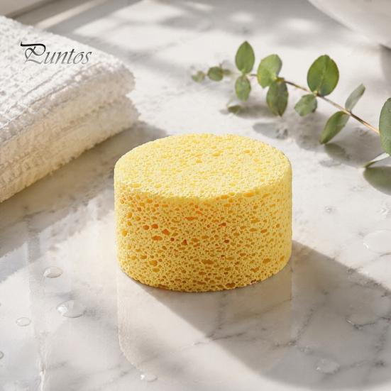 Multi Purpose Household Scrubbers Steam Oven Absorbent Sponge, Large Thickened Kitchen Scratch-Free Mesh Professional Car Detailing Supplies Structure