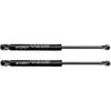 6425 Rear Trunk Lift Supports Shocks Struts Arms Prop Rod Damper Gas Springs for Volkswagen Beetle 2003-2008 Beetle Cabrio 2009-2010 Convertible