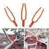 200 Pcs Climbing Wall Plastic Clips Gardening Vine Forks Fixing Fasteners Reusable Plants Pp Stolons Fastening Clamps Fixator