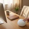 Snow Ball Crunch:  Squeaking Snowball Stress Relief Toy
