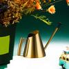 Watering Can Indoor Plant Indoor Watering Can for Plant 30.4oz/900ml Stainless Steel Watering Can Long Spout for Outdoor
