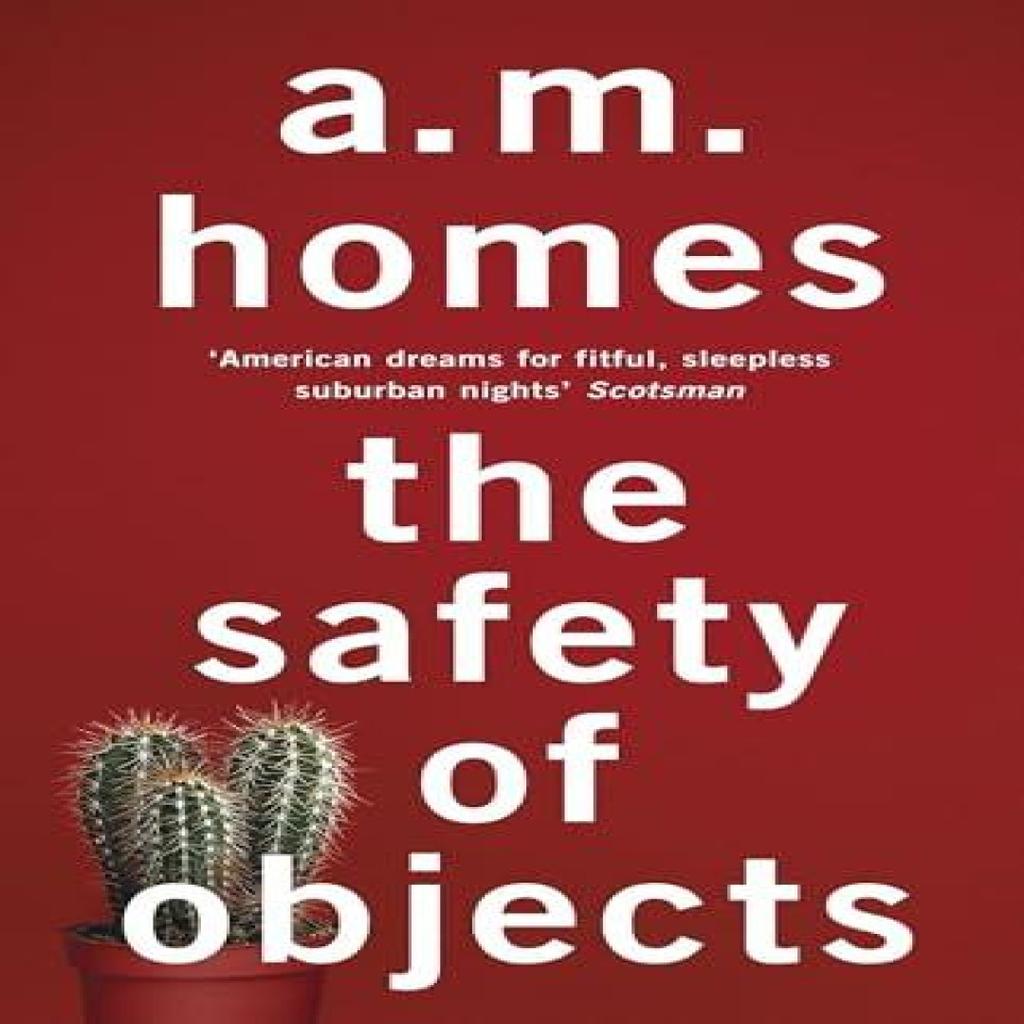 The Safety Of Objects by A.M. Y Homes Paperback Book 9781847087300