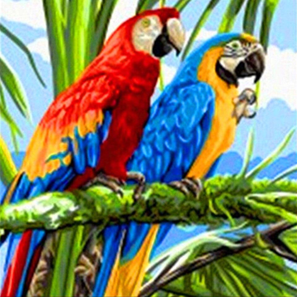 

5D DIY алмазная живопись животное попугай Сова птица вышивка крестиком полная дрель Алмазная вышивка мозаика художественная картина Декор из страз Full Round 40x40CM