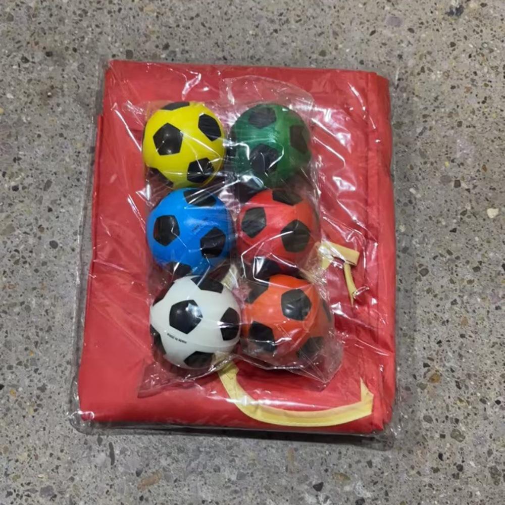 Outdoor Canopy Team Building Balance Ball Game Set