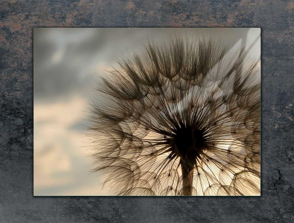 GLAS-KOCHFELD-SCHUTZPLATTE 70x52 BLUME