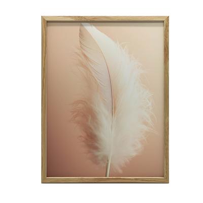 Feather Pen, 70X100 Cm, Unframed, Matte Paper 230 Gsm