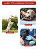 Medium breed dog diapers Male belts size M 10 pcs