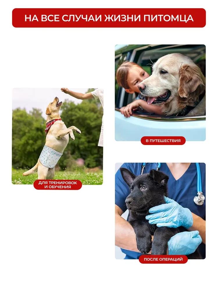 Medium breed dog diapers Male belts size M 10 pcs