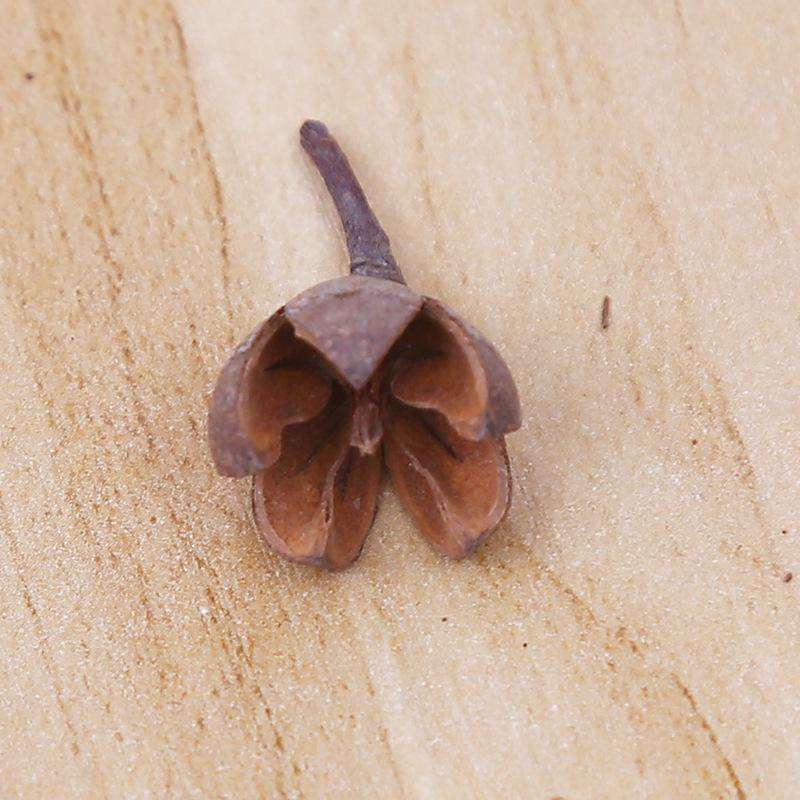 

Дикие натуральные сухоцветы, сухофрукты, натуральные сосновые шишки, фрукты-кресты в форме паспарту, декоративные украшения, реквизит для фотографий