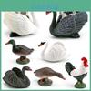 Bird Model Collection Featuring Greenheaded Duck And Gray Duck For Home Decor And Educational Use