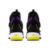 LeBron Soldier 13 Sfg 'Lakers Purple Gold' AR4225-500