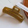 Exquisite Acrylic Claw Clip for Thick Hair - Large High-End Shark Hairpin