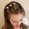 Hairpin Side Bangs Clip Ladies Girls Fixed Shape Clip Women Hair Accessories