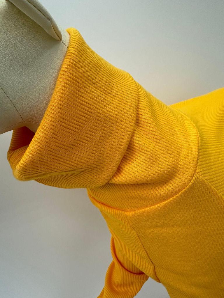 European & American Solid Color High-Neck Slim Fit Ribbed Dog Clothes for Autumn & Winter.