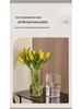 Transparent Acrylic Square Vase, Drop-Proof, for Flower Arrangements, Lucky Bamboo, and Elegant Decor in the Living Room