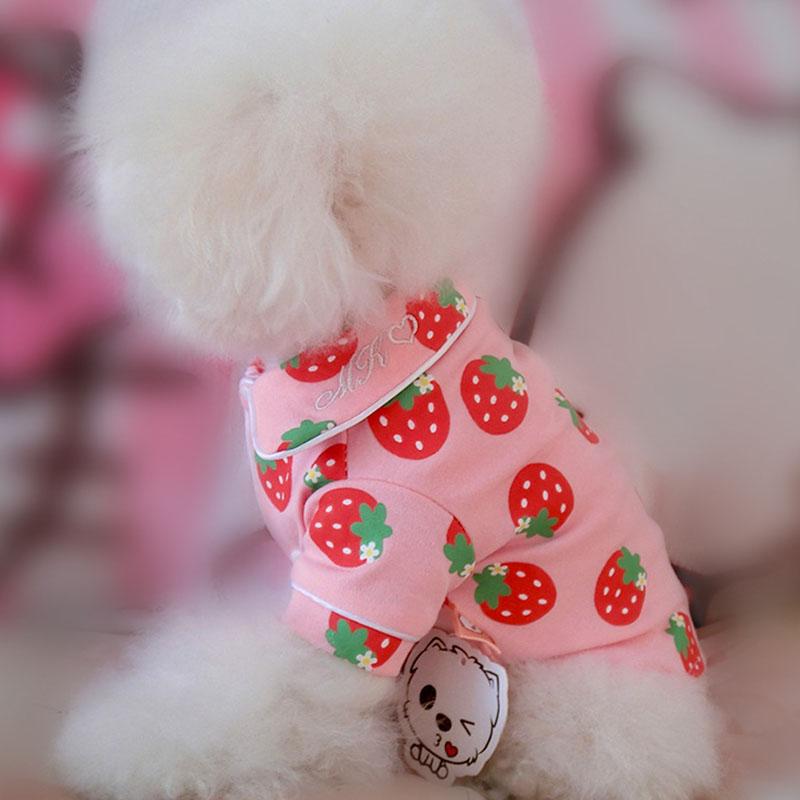 Spring Cat Costume Cute Cozy Pet Clothes for Cats Katten Kedi Hoodie Mascotas Gato Sweatshirt Cat Sweater Pets Clothing Outfit