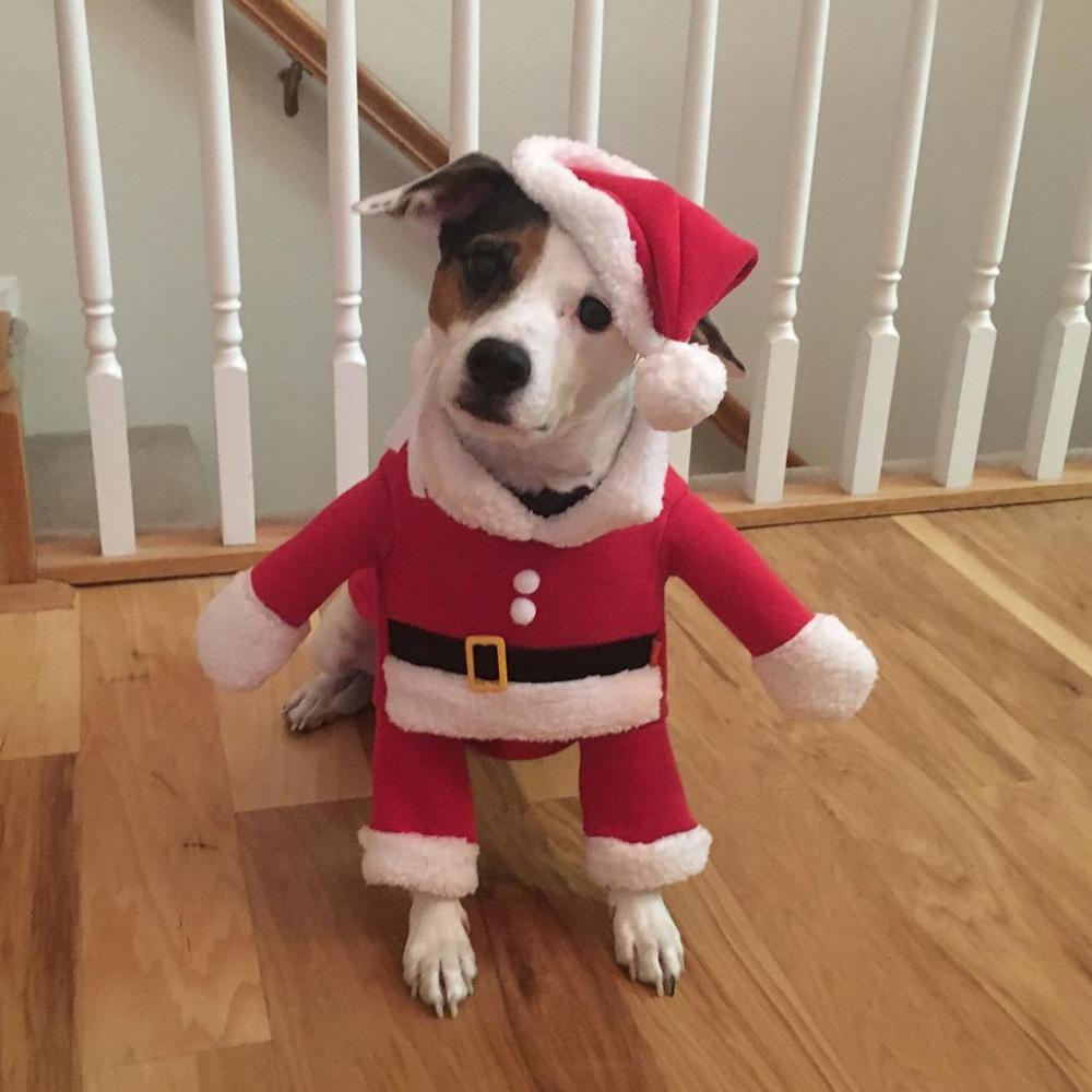 Pet Santa Claus Outfits for Small Dogs Cats Cosplay Clothes Cute Christmas Dog Costume Puppy Jumpsuit New Year Dress Up Gifts