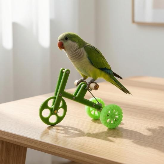 Parrot Training Bicycle, Funny Parrot Bike Training Toy, Creative Green Parrot Training Bike for Birds Intelligent Development
