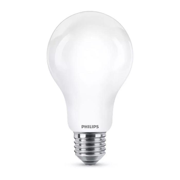Ampoule LED E27 17,5W 2452lm (