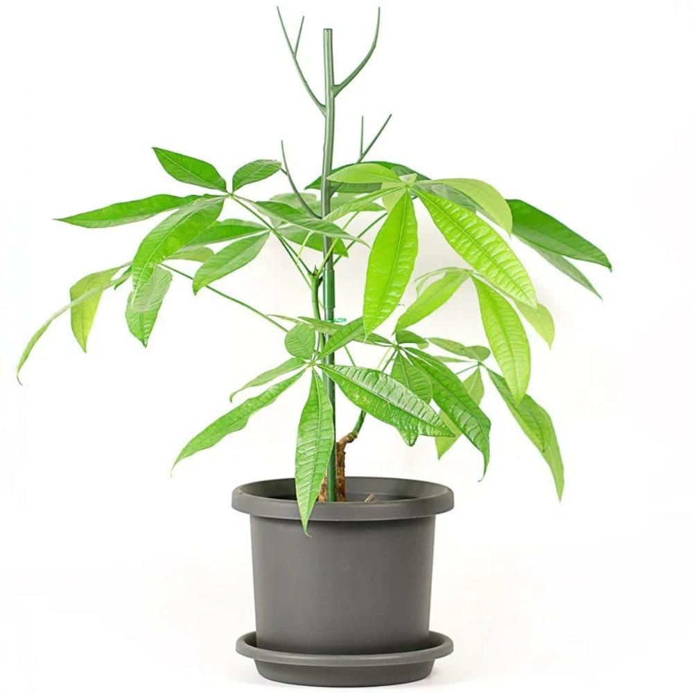 2pcs Simulated Tree Branch Vine Climbing Bracket Plastic Plant Plastic Sticks  Potted Plants
