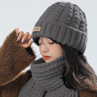 Korean Style Popular Influencer Knitted Hat and Scarf Two-Piece Set for Women, Winter Warm and Versatile Wool Hat