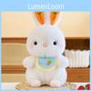 Cute Rabbit Plush Toy Soft Bunny Doll Children's Comforting White Rabbit Birthday Gift Wholesale