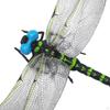 Dragonfly Model Garden Hanging Ornament Toy Collectible Crafts Sculpture Outdoor Decor for