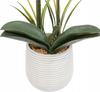 Atmosphera Riva dried plant White