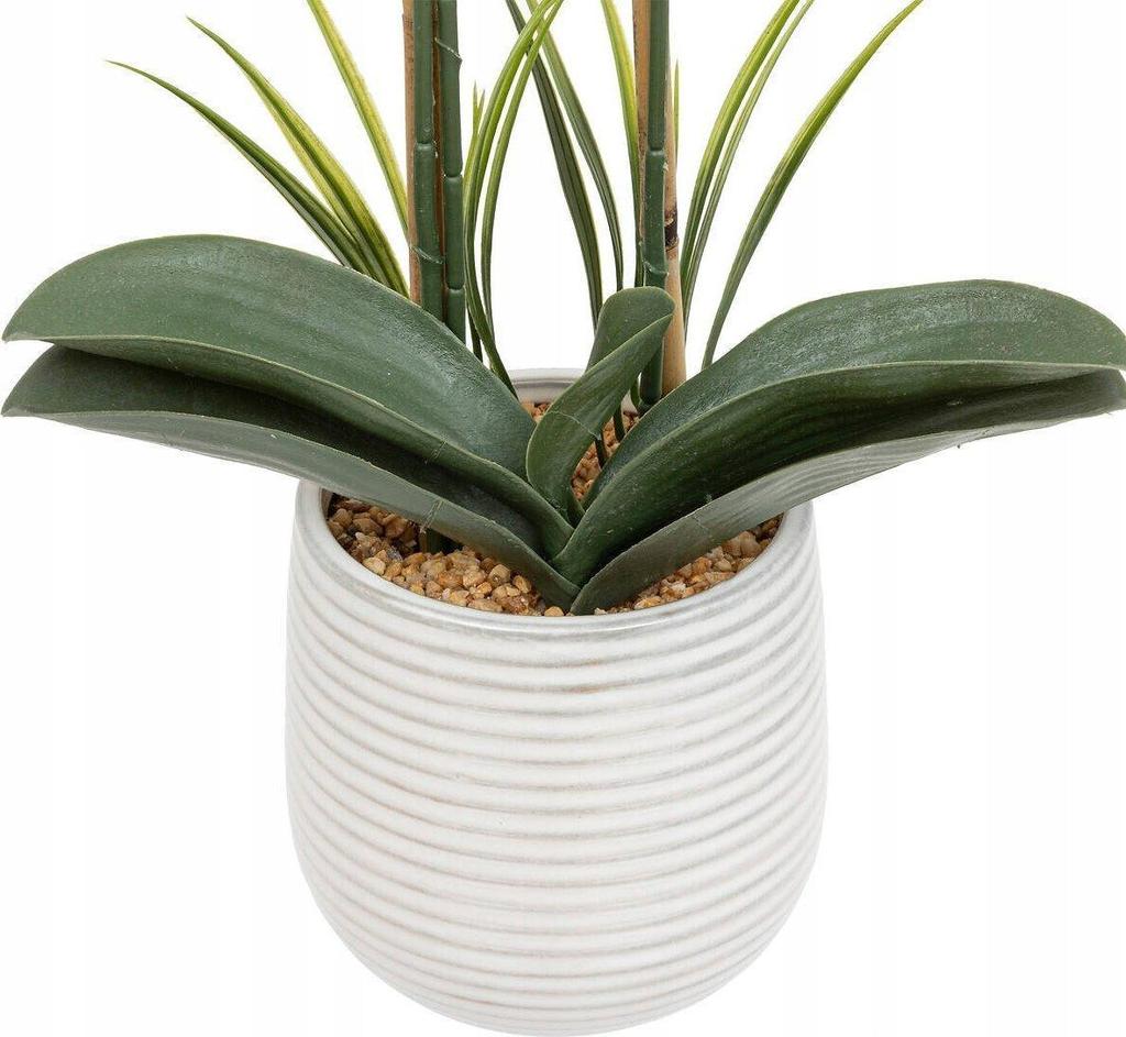 Atmosphera Riva dried plant White