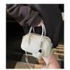IELGY Ladies Messenger Bag All-Match Korean Version Portable Pillow Bag