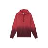 New Nike Sweatshirt Men's Deep Team Red FJ7334-613