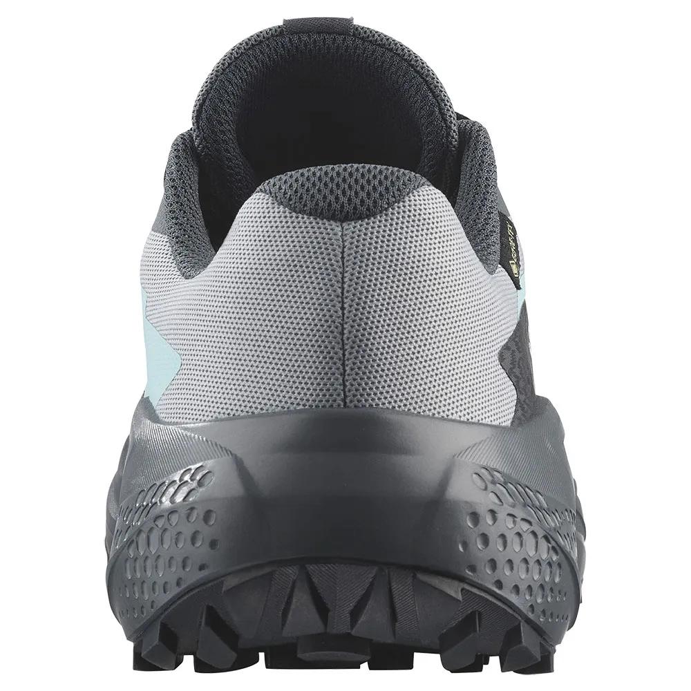 SALOMON Trail Running Sneakers Alphaglide Goretex